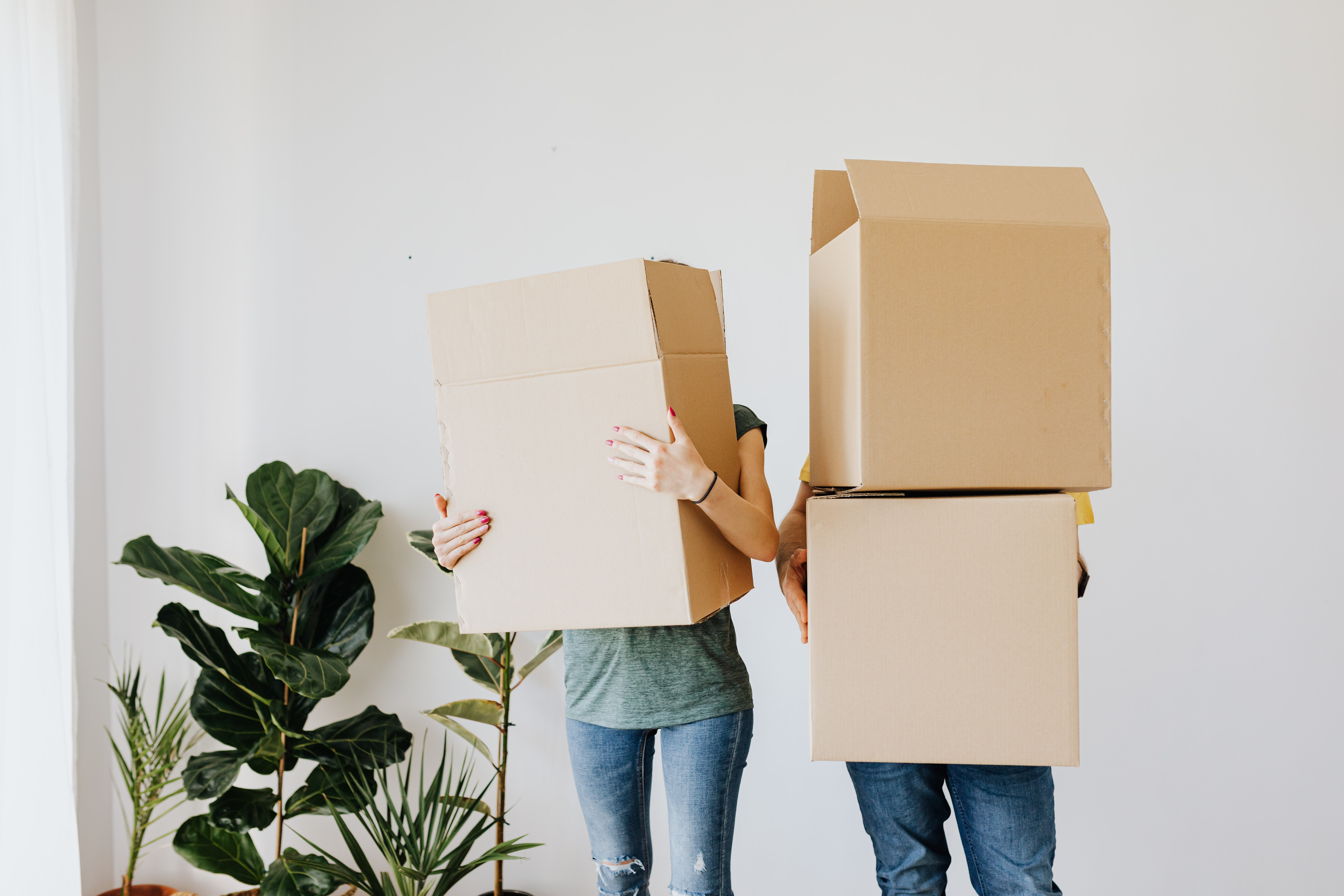 Two people stand holding brown moving boxes next to some plants